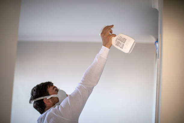 Best Mold Cleaning Services  in Cahokia, IL