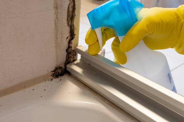 Best Toxic Mold Removal  in Cahokia, IL